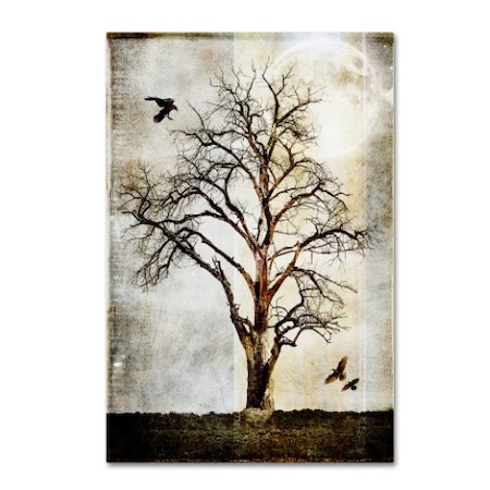 LightBoxJournal 'Cottonwood Tree Part 02' Canvas Art,16x24